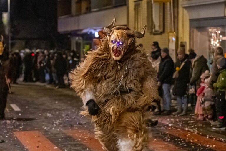 Einzug Wangen 2026 -2